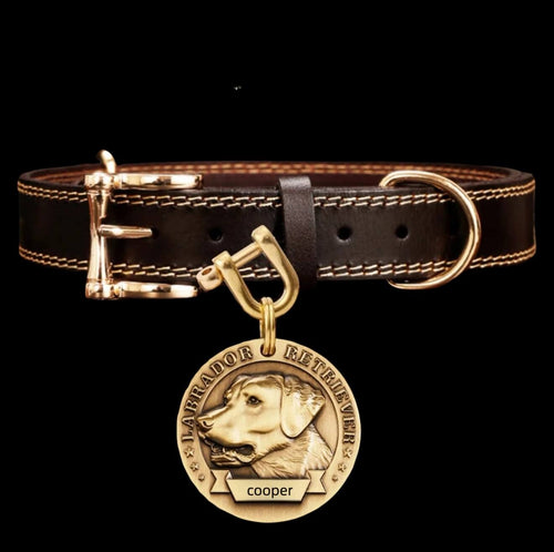 Personalized Pet Collar - Durable Full-Grain Leather with Brass Buckle