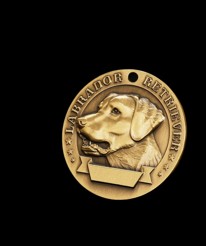 Personalized Pet Collar - Durable Full-Grain Leather with Brass Buckle