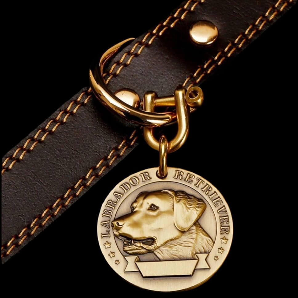 Personalized Pet Collar - Durable Full-Grain Leather with Brass Buckle